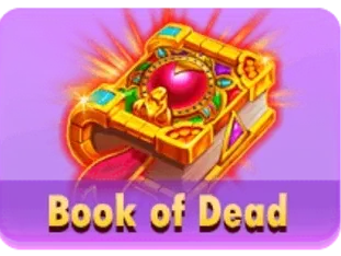 Book Of Dead